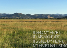 Design 165591 Canvas Prints Image