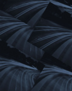 Design 168815