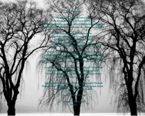 Trees Background