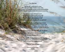 Beach 11 Canvas Prints Image