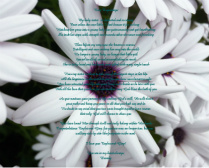 Floral 2