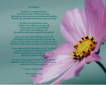 Floral 9