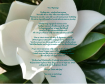 Floral 12