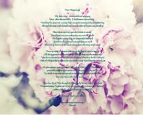 Floral 1