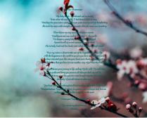 Floral 4