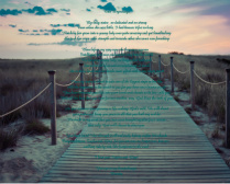 Beach walk