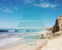 Beach 15