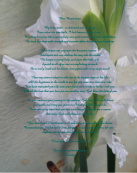 Floral 13