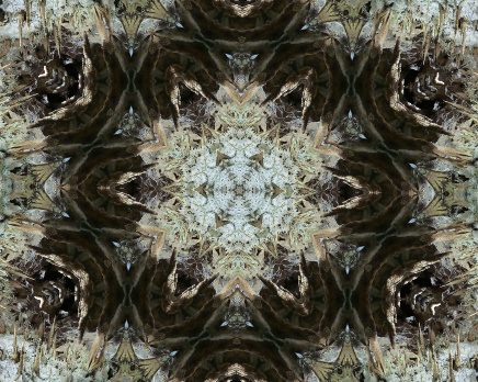 Design 170492 Canvas Prints