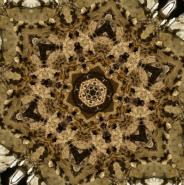 cave flower 5