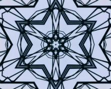 bridge flower 10
