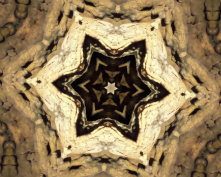 cave flower 9