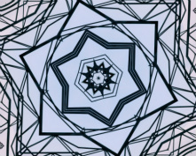 bridge flower 8