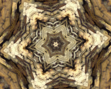 cave flower 8