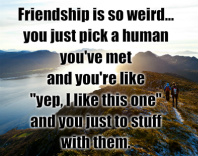 Friendship