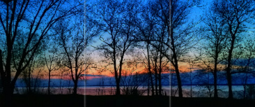 Design 178675