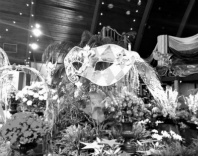 Design 184509