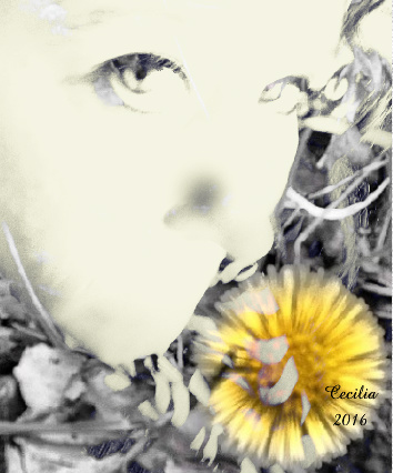 Design 188352 Canvas Prints