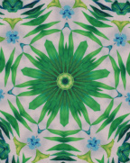 Design 189054