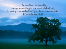Steadfast