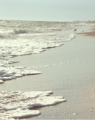 Design 197060 Canvas Prints Image