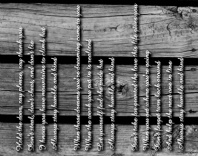 Design 199188 Canvas Prints Image