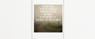 Design 191365