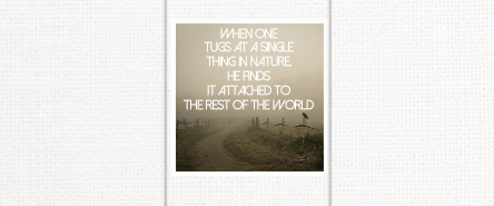 Design 191365 Canvas Prints