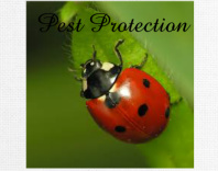 dgvfg Canvas Prints Image