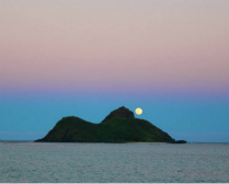 Design 203416 Canvas Prints Image