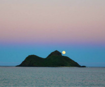 Design 203417 Canvas Prints Image