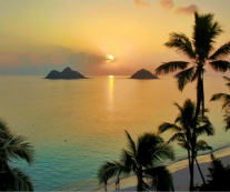 Design 203420 Canvas Prints Image