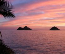 Design 203413 Canvas Prints Image