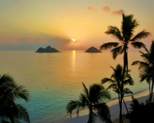 Design 203419 Canvas Prints Image