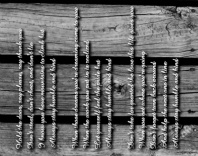 Design 200079 Canvas Prints Image