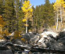 Design 206325 Canvas Prints Image