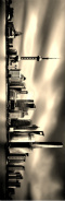 Design 207217