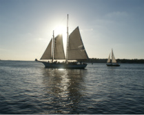 Sailboat