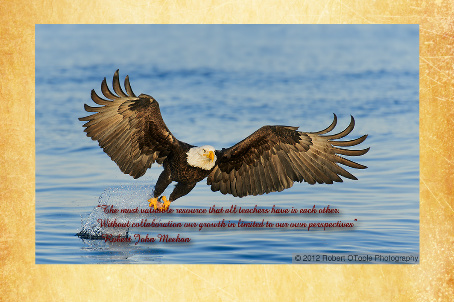 Design 209243 Canvas Prints