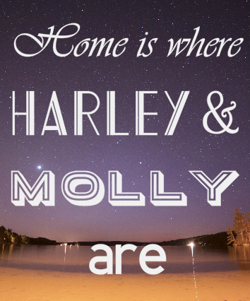 Design 213832 Canvas Prints