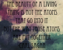 Design 214219 Canvas Prints Image