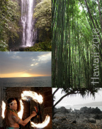 Design 215490 Canvas Prints Image