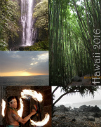 Design 215487 Canvas Prints Image