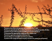 Picture 1 Canvas Prints Image