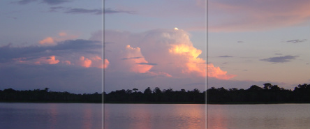 Design 222237 Canvas Prints