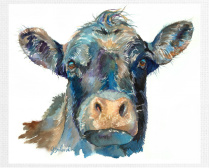 ANGUS