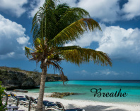 Design 227995 Canvas Prints Image