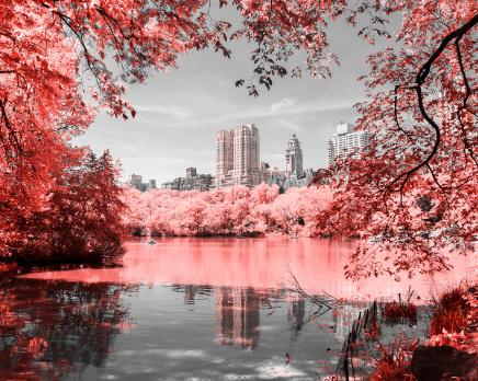 Design 272544 Canvas Prints