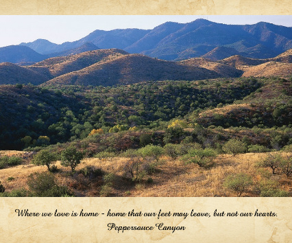Design 273065 Canvas Prints