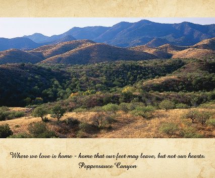 Design 273059 Canvas Prints